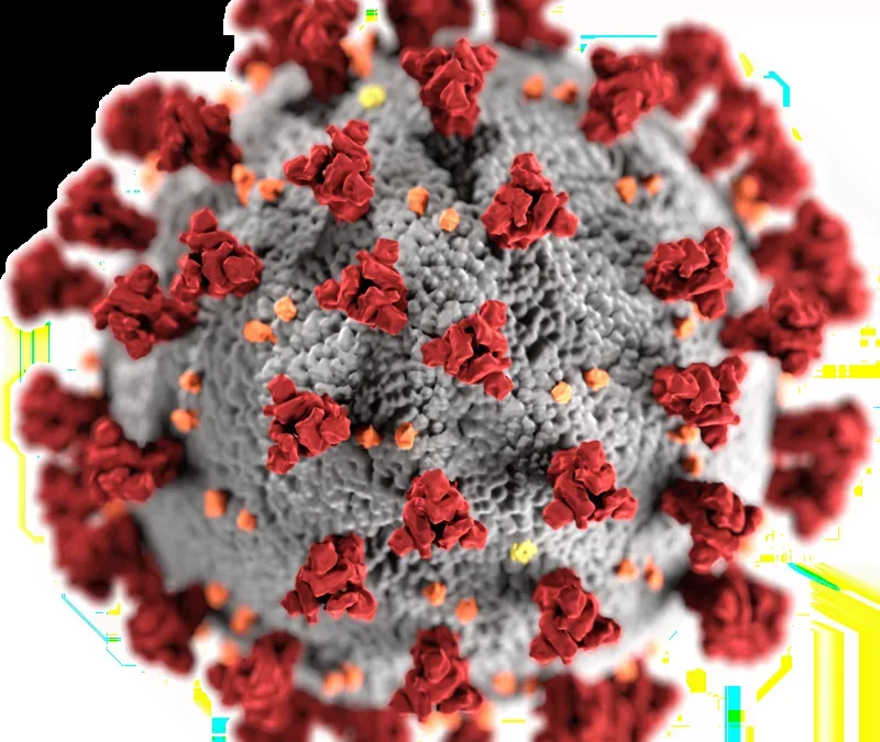 Coronavirus and Fear Itself